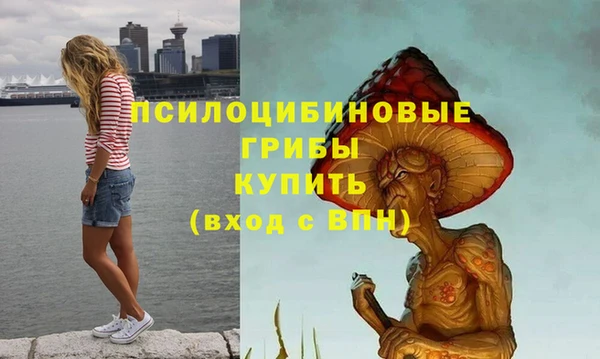 метамфетамин Михайловка