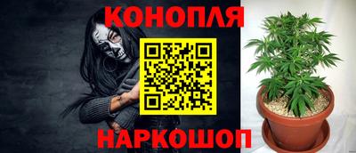 сатива Гусев