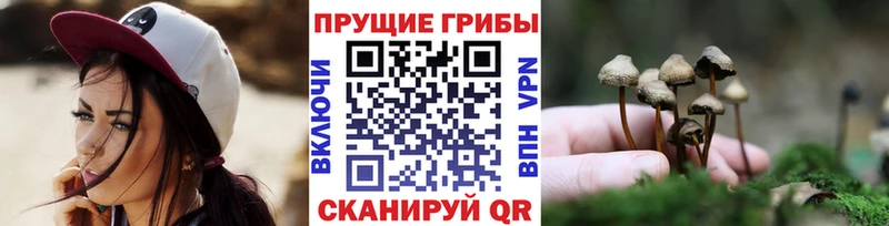 Псилоцибиновые грибы мицелий Луховицы